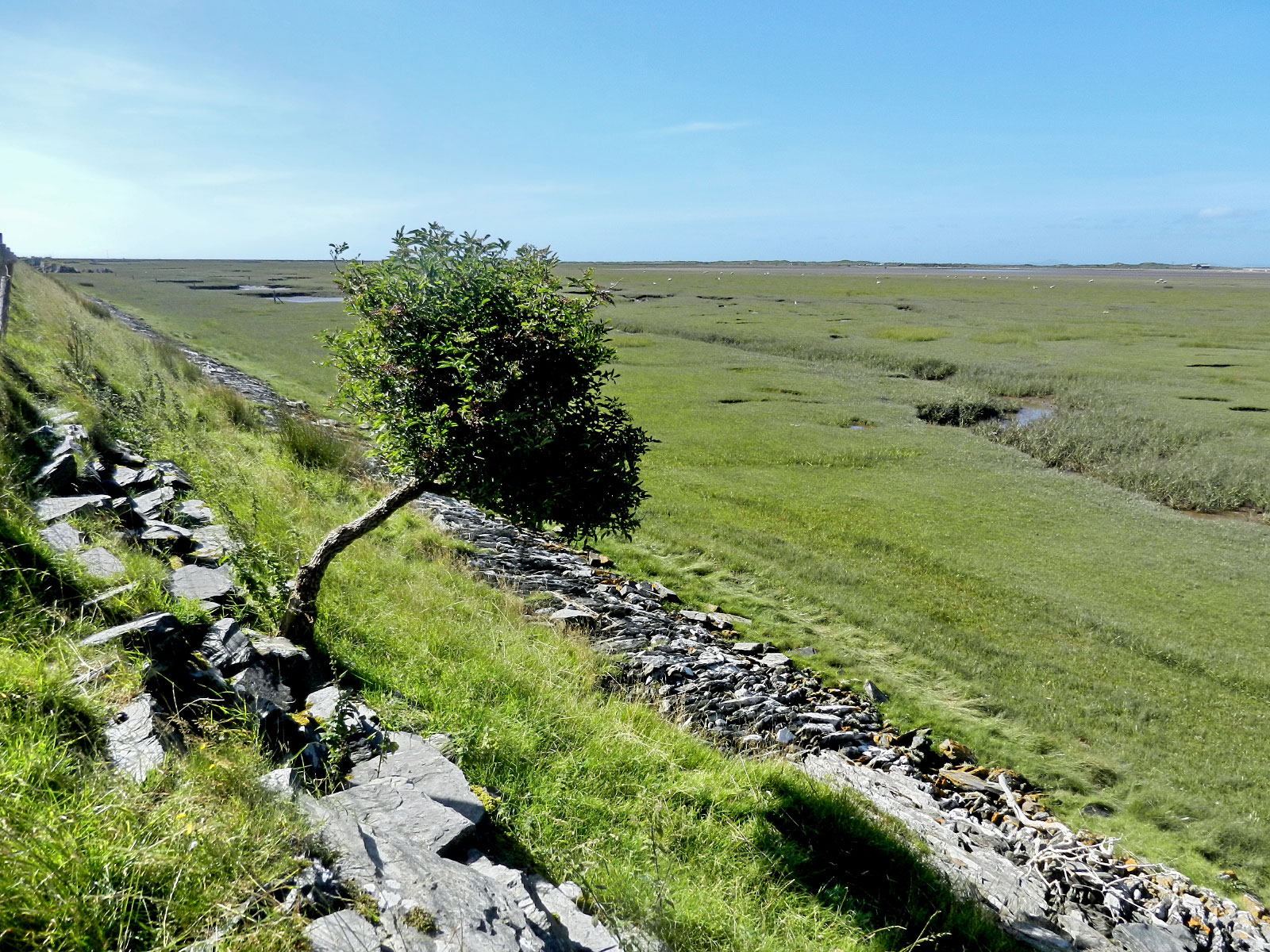 Fairbourne (Llwyngwril)